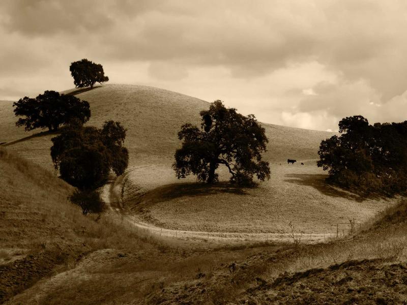 sudoku pencil marks screenshot 1